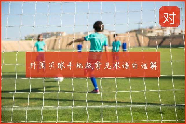 外围买球手机版常见术语白话解